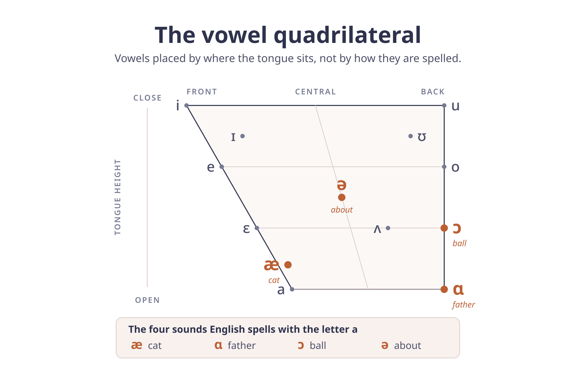 The IPA vowel quadrilateral with vowels plotted by tongue height and backness, and the four sounds English spells with the letter a highlighted in orange.